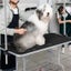 Pet Grooming Table Carousel 1