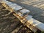 50% OFF Macrocarpa Slabs - 50mm Thick Carousel 2