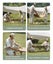 NNETM Unleashing the Magic of the Outdoor Double-sided Folding Table Carousel 6