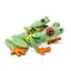 Loading Image 1 of 5