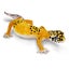 Loading Image 1 of 7
