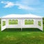 Gazebo Outdoor Shelter Tent Wedding Party3M x6M Carousel 3