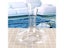 Glass Decanter Carousel 4
