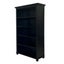 Rosebud Bookshelves in Black Carousel 2