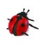 Loading Image 1 of 2