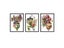 Joy Sunday 14ct Aida Fabric Cross Stitch With DMC Floss 11ct DIY Carousel 2