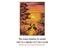 The Crane Shadow In Sunset Floss 11CT Patterns Painting Needlework Diy Dmc Carousel 1