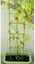 tomato plant triangle cage 1.5 M high adjustable frame climbing trainer Carousel 3
