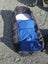Bugaboo Buffalo Stroller Carousel 10