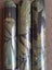Wallpaper. Botanical Night - Black. 4 roll bundle Carousel 3