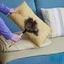 Ostrich Feather Duster Carousel 4