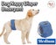 PTN NEW Disposable Dog Diapers Sale Sale Carousel 1