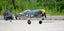 Lastest DYNAM HAWKER TEMPEST V2 w/Retracts 1250MM (49") WINGSPAN - PNP (DY8959) Carousel 5
