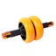 Roller---AB Wheel/Roller Carousel 10