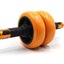 Roller---AB Wheel/Roller Carousel 11