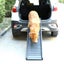 PTN New Folding Portable Travel Dog Ramp Ladder Sale Sale Carousel 5