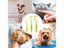 Flea Remover Hook Tick Removal Tweezer Ticks Pull Pet Cat Dog Accessaries Carousel 4