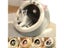 Cat Bed House Kennel Nest Round Pet Sleeping Cave Kitten Beds Pet Basket Carousel 4