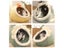 Cat Bed House Kennel Nest Round Pet Sleeping Cave Kitten Beds Pet Basket Carousel 7