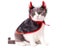 Halloween Pet Costumes Cute Cosplay Vampire Cloak Cat Dog Cap With Horns Kitten Carousel 4
