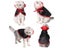 Halloween Pet Costumes Cute Cosplay Vampire Cloak Cat Dog Cap With Horns Kitten Carousel 7