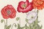 Bothy Threads Cross Stitch Kit - Poppy Blooms Carousel 1