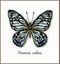 Vervaco Cross Stitch Kit - LMV Blue butterfly Carousel 1