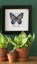 Vervaco Cross Stitch Kit - LMV Blue butterfly Carousel 2