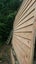 PINE CLEARS - D4S SECONDS - 240 x 19mm H3.2 - 122m - TS7694 Carousel 7