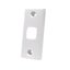 Architrave Type Standard Wall Plate with Cutout Carousel 1