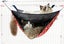 Double Level Pet Hammock Carousel 1
