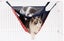 Double Level Pet Hammock Carousel 2