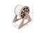 Cat Scratching Wheel Carousel 3