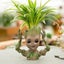 Hod Health & Home Mini Flowerpot Little Happy Groot Desktop Decoration Indoor Va Carousel 5