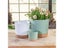 Plant POTS Lightweight Large POTS For Indoor Plants And Outdoor Plants Large Carousel 3