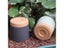 Plant POTS Lightweight Large POTS For Indoor Plants And Outdoor Plants Large Carousel 4