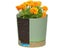 Plant POTS Lightweight Large POTS For Indoor Plants And Outdoor Plants Large Carousel 5