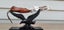 'DAWN' M390 Alloy Steel Ultra-bright Mirror Blade Hunting Camping BBQ Knife Gift Carousel 1