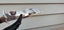 'DAWN' M390 Alloy Steel Ultra-bright Mirror Blade Hunting Camping BBQ Knife Gift Carousel 10