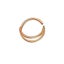 Double Nose Ring Hoop for Single Piercing Loop Nose Ring Spiral Nose Rings Carousel 7