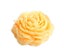 3D Silicone Flower Soap Mold Cake Candle Mould DIY Craft Peony Soap Making Carousel 2