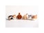 DIY No Faceless Dog Tiger Cat Wool Felt Doll Non-Finished Needle Felting Kit Carousel 6