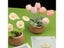 KRABALL Crochet Flower Kit With Yarn Hook Needles For Beginners DIY Carousel 5