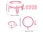 Sentro Knitting Machine Craft Project 40 Needle Hand Knitting Machine Kit For Carousel 5