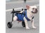 Pet Walk Booster Disability Adjustable Dog Hind Legs Bracket Cat Dog Injured Carousel 3