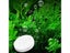 60Pcs Aquarium CO2 Tablet For Fish Tank Plants To Thrive Carousel 1