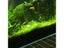 60Pcs Aquarium CO2 Tablet For Fish Tank Plants To Thrive Carousel 3