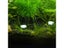 60Pcs Aquarium CO2 Tablet For Fish Tank Plants To Thrive Carousel 4
