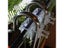 Fish Tank Filter Carousel 1