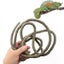 Large Flexible Vines Rattan Habitat Decoration For Reptiles Terrarium 1.5 2.5 Carousel 3